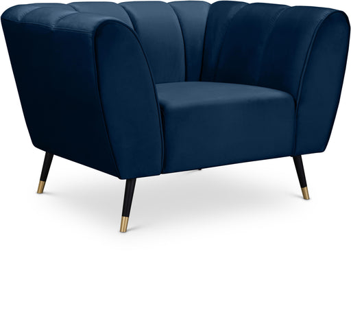 Beaumont Navy Velvet Chair - Royal Furniture & Gifts (MI) - Multi Location