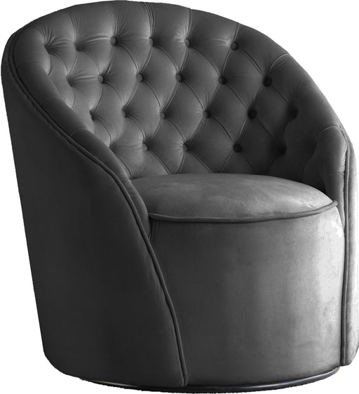 Alessio Grey Velvet Accent Chair - Royal Furniture & Gifts (MI) - Multi Location