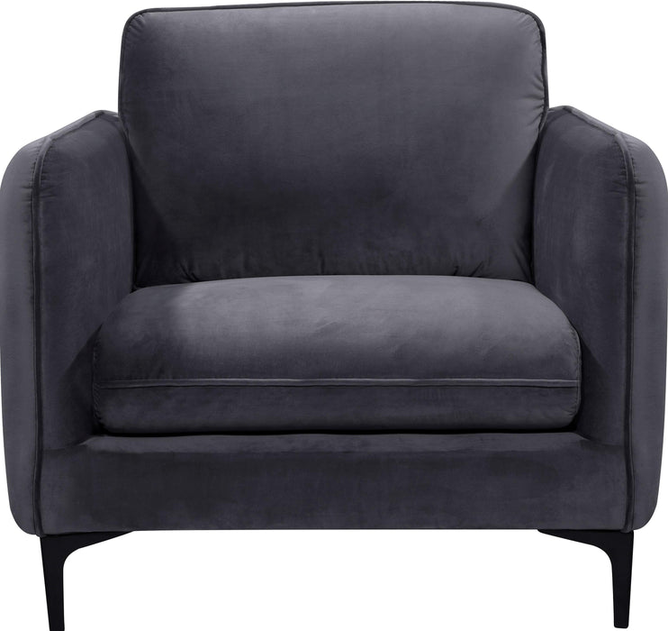 Poppy Grey Velvet Chair - Royal Furniture & Gifts (MI) - Multi Location