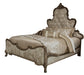 Platine de Royale Queen Panel Bed in Antique Platinum 09000QNPL3-101 - Royal Furniture & Gifts (MI) - Multi Location