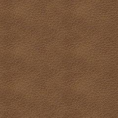 Bolsena Sofa Sleeper - Royal Furniture & Gifts (MI) - Multi Location