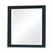 Sandy Beach Vertical Dresser Mirror Black - Royal Furniture & Gifts (MI) - Multi Location