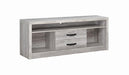 Burke 2-drawer TV Console Grey Driftwood - Royal Furniture & Gifts (MI) - Multi Location