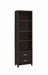 Lewes 2-drawer Media Tower Cappuccino - Royal Furniture & Gifts (MI) - Multi Location