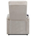 Henrietta Power Lift Recliner with Storage Pocket Beige - Royal Furniture & Gifts (MI) - Multi Location