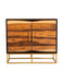 Zara 2-door Accent Cabinet Black Walnut and Gold - Royal Furniture & Gifts (MI) - Multi Location