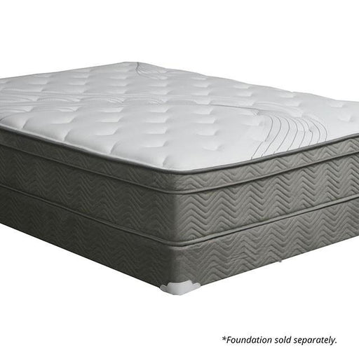 Afton 12 Euro Box Pocket Coil - Royal Furniture & Gifts (MI) - Multi Location