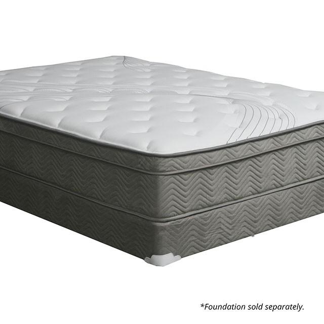 Afton 12 Euro Box Pocket Coil - Royal Furniture & Gifts (MI) - Multi Location