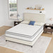 Catmint 10" Full Innerspring Mattress - Royal Furniture & Gifts (MI) - Multi Location