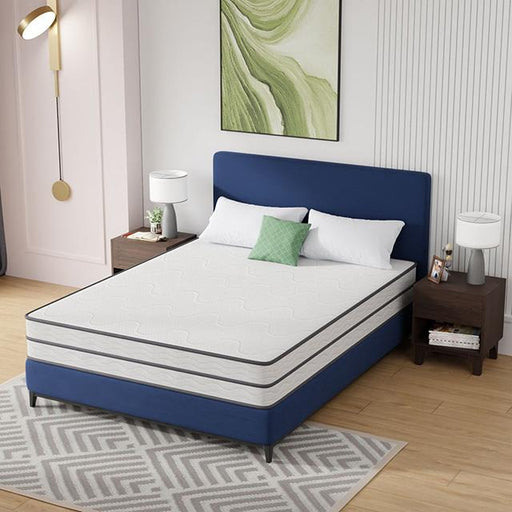 Catmint Mattress - Royal Furniture & Gifts (MI) - Multi Location