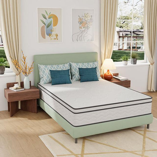 Catmint 12" Queen Innerspring Mattress - Royal Furniture & Gifts (MI) - Multi Location
