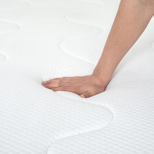 Catmint 12" Full Innerspring Mattress - Royal Furniture & Gifts (MI) - Multi Location