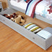 DIANE Trundle - Royal Furniture & Gifts (MI) - Multi Location