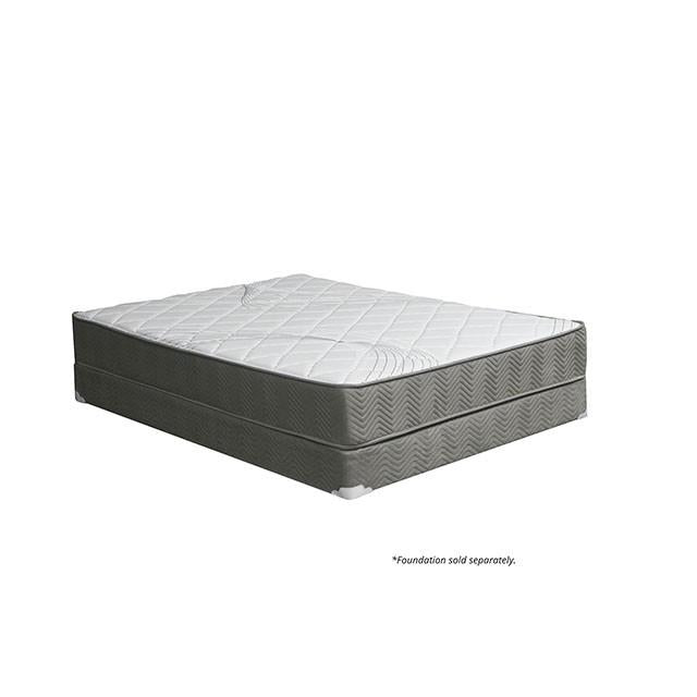 Edrea 10 Tight Top Pocket Coil - Royal Furniture & Gifts (MI) - Multi Location