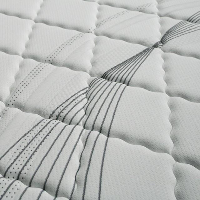EDREA White/Gray 10" Tight Top Pocket Coil, Full - Royal Furniture & Gifts (MI) - Multi Location