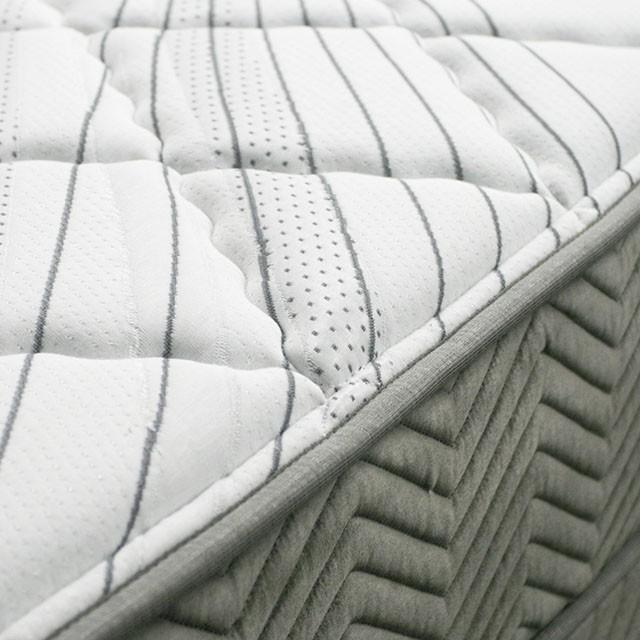 Edrea 10 Tight Top Pocket Coil - Royal Furniture & Gifts (MI) - Multi Location