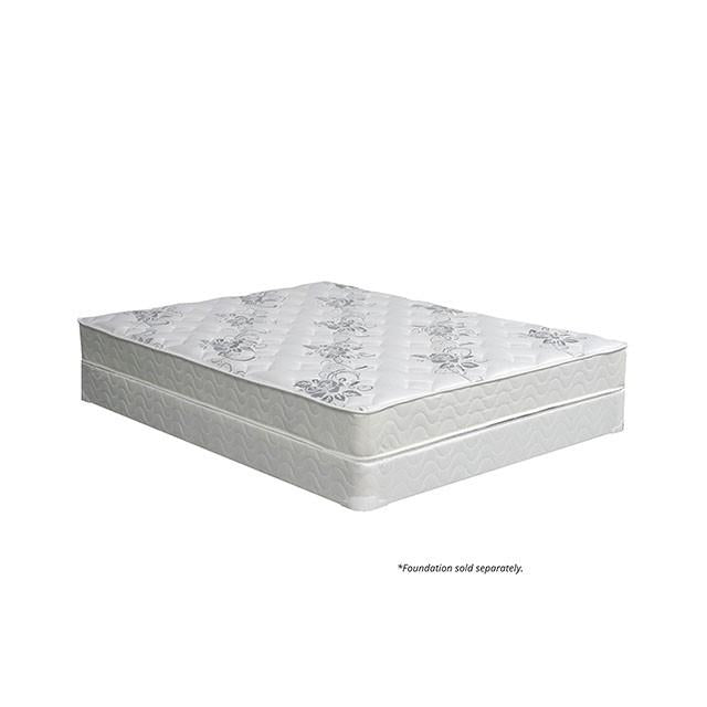 Elbertyna 8 Tight Top Mattress (Non-Flip) - Royal Furniture & Gifts (MI) - Multi Location