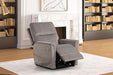 Ferdinandus Lift Chair - Royal Furniture & Gifts (MI) - Multi Location