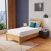 Coreopsis 10" Twin Memory Foam Wave Comfort - Royal Furniture & Gifts (MI) - Multi Location