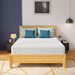 Coreopsis 12" Queen Memory Foam Wave Comfort - Royal Furniture & Gifts (MI) - Multi Location