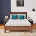 Coreopsis 8" Queen Memory Foam Wave Comfort - Royal Furniture & Gifts (MI) - Multi Location