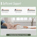 Coreopsis 8" Twin Memory Foam Wave Comfort - Royal Furniture & Gifts (MI) - Multi Location