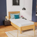 Coreopsis 8" Twin Memory Foam Wave Comfort - Royal Furniture & Gifts (MI) - Multi Location