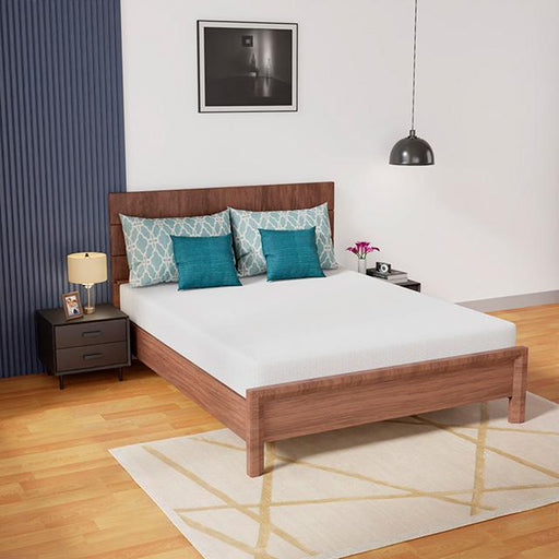 Coreopsis Mattress - Royal Furniture & Gifts (MI) - Multi Location