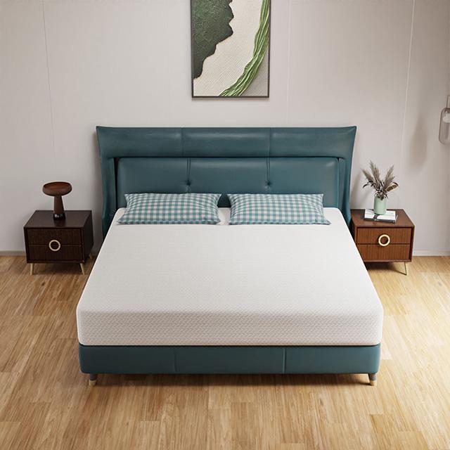 Forsythia 10" E.King Green Tea Gel Memory Foam - Royal Furniture & Gifts (MI) - Multi Location