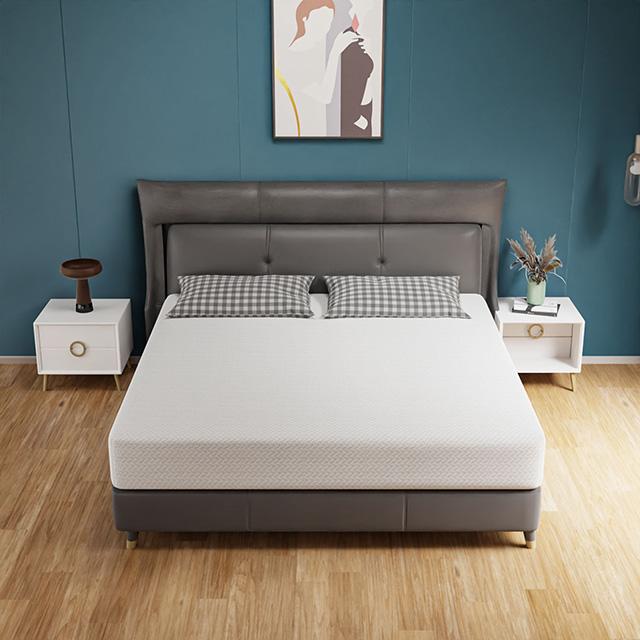 Forsythia 10" Queen Green Tea Gel Memory Foam - Royal Furniture & Gifts (MI) - Multi Location