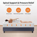 Forsythia 12" E.King Green Tea Gel Memory Foam - Royal Furniture & Gifts (MI) - Multi Location