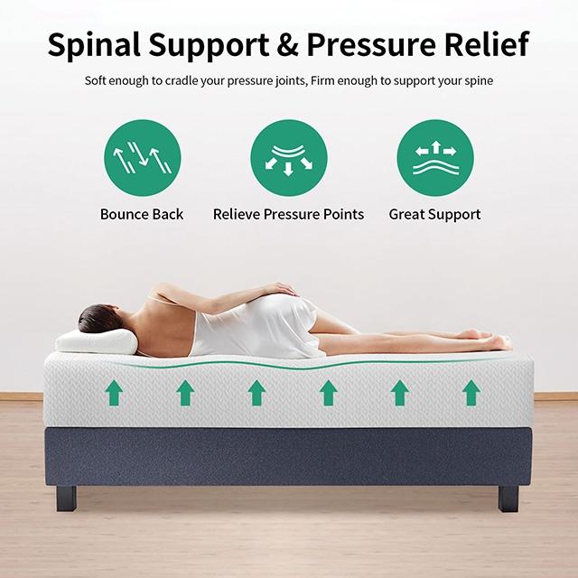 Forsythia 12" Queen Green Tea Gel Memory Foam - Royal Furniture & Gifts (MI) - Multi Location