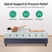Forsythia 12" Queen Green Tea Gel Memory Foam - Royal Furniture & Gifts (MI) - Multi Location