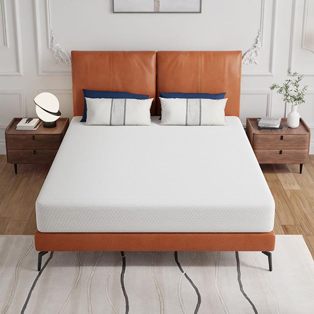 Forsythia 8" Queen Green Tea Gel Memory Foam - Royal Furniture & Gifts (MI) - Multi Location