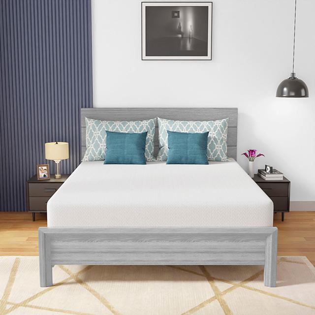 Coreopsis 10" Queen Memory Foam Wave Comfort - Royal Furniture & Gifts (MI) - Multi Location