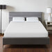 Artemisia 10" Memory Foam Mattress - Royal Furniture & Gifts (MI) - Multi Location