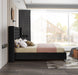 Aiden Black Velvet Queen Bed - Royal Furniture & Gifts (MI) - Multi Location