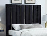 Enzo Black Velvet Queen Bed - Royal Furniture & Gifts (MI) - Multi Location