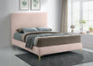Geri Pink Velvet Queen Bed - Royal Furniture & Gifts (MI) - Multi Location
