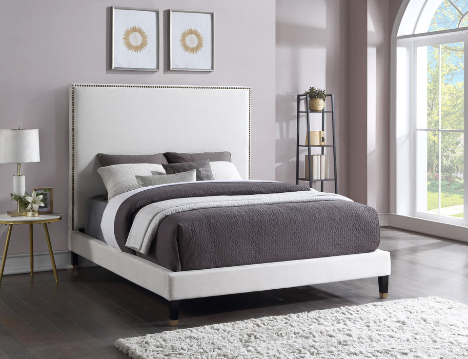 Harlie Cream Velvet Queen Bed - Royal Furniture & Gifts (MI) - Multi Location