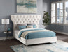 Kira Cream Velvet Queen Bed - Royal Furniture & Gifts (MI) - Multi Location