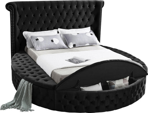 Luxus Black Velvet Queen Bed (3 Boxes) - Royal Furniture & Gifts (MI) - Multi Location