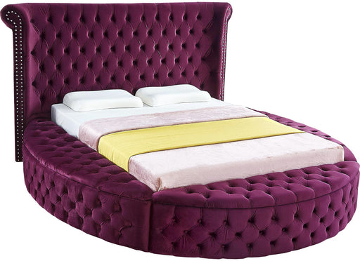 Luxus Purple Velvet Queen Bed - Royal Furniture & Gifts (MI) - Multi Location