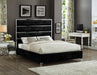 Zuma Black Velvet Queen Bed - Royal Furniture & Gifts (MI) - Multi Location